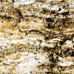 Termékek Burning Forest With Light kofurner koburkolat atvilagithato burkolat